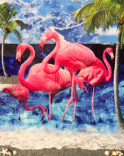 Load image into Gallery viewer, Shoreline Stunners
